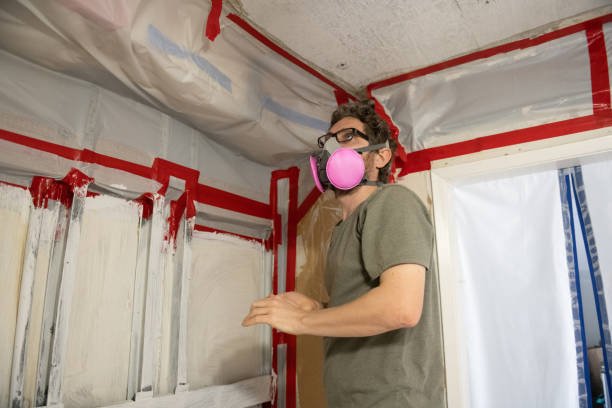 Mold Remediation for Rental Properties